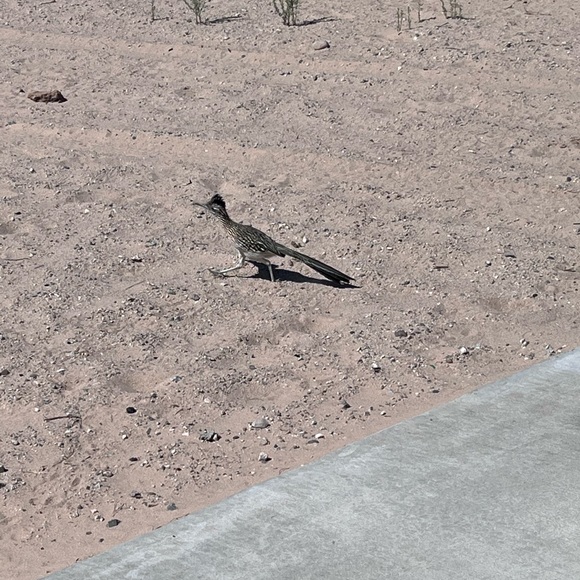 Meet your Posher, Stefanie - Picture 7 of 9